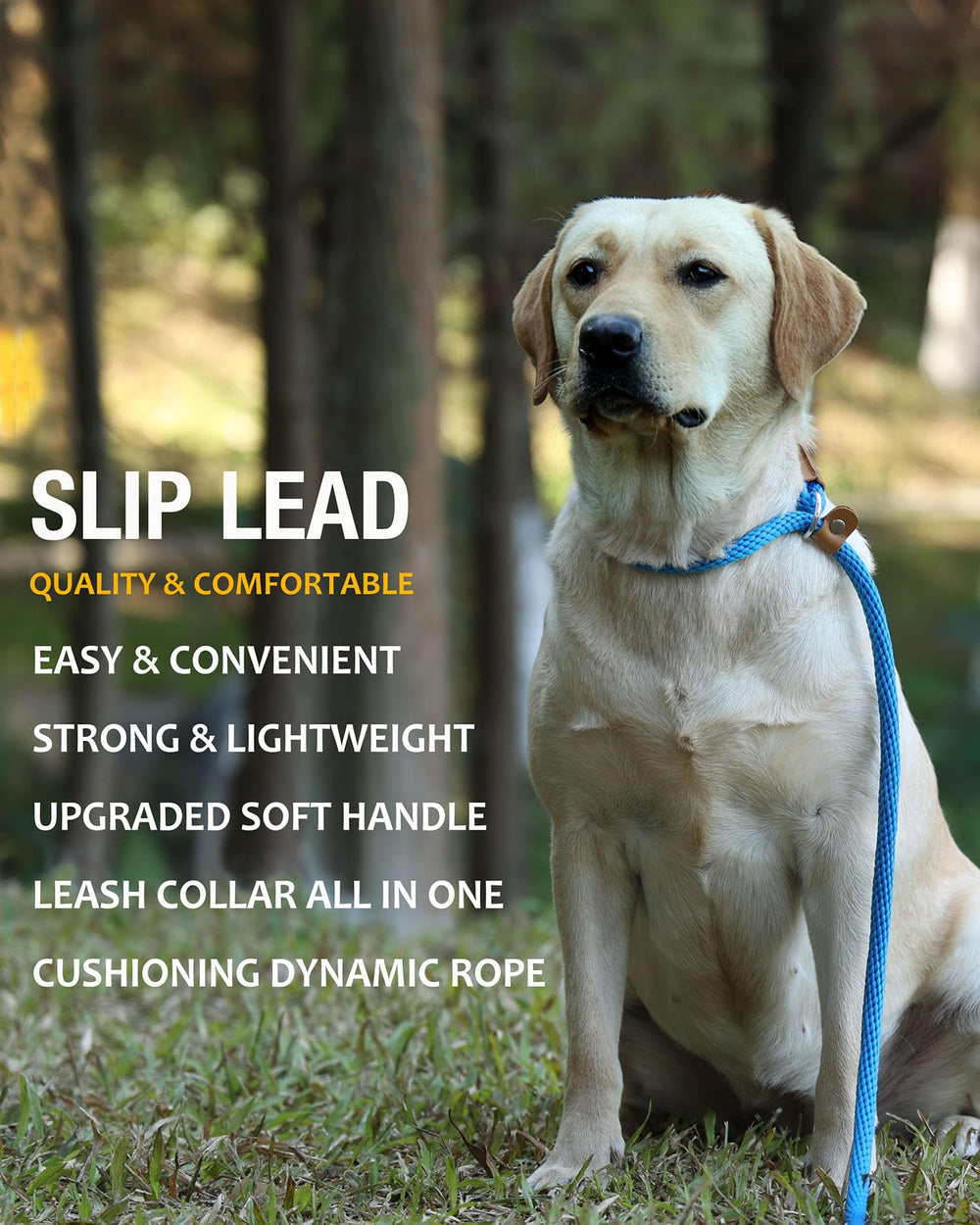 Lynxking laisse glissante pour chien: anneau métallique robuste et durabilité accrue