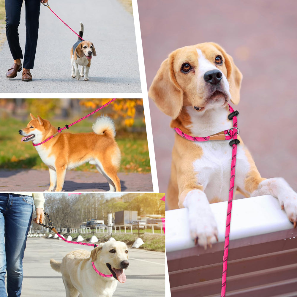 Lynxking Slip Lead: dimensiones 1/2 pulgadas x 6 pies para perros de todos tamaños.