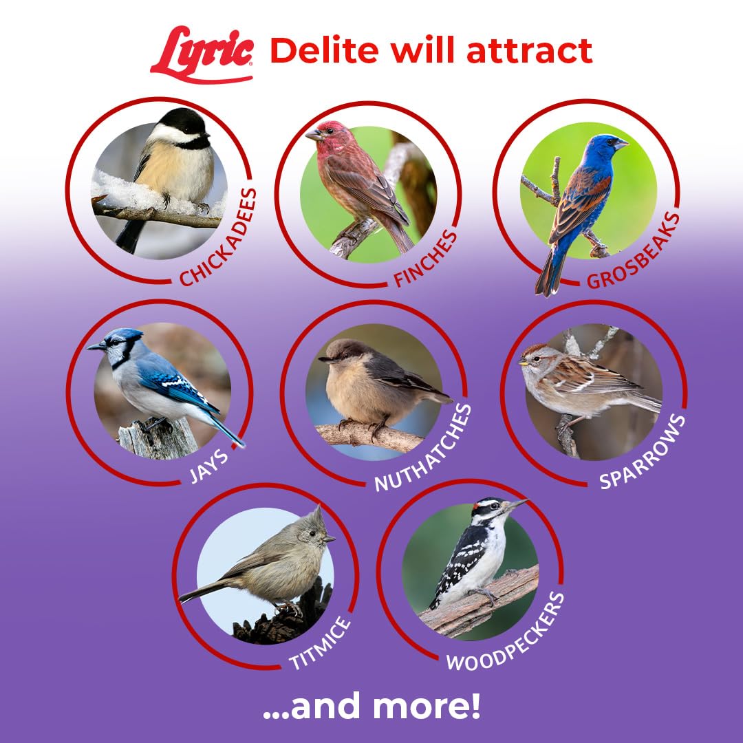 Lyric Delite: comedero tubo exterior compatible con semillas peladas.