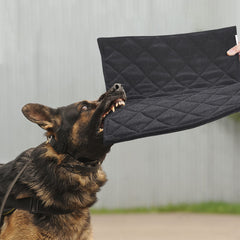 Cama MABOZOO indestructible para jaula, ideal para perros que muerden.