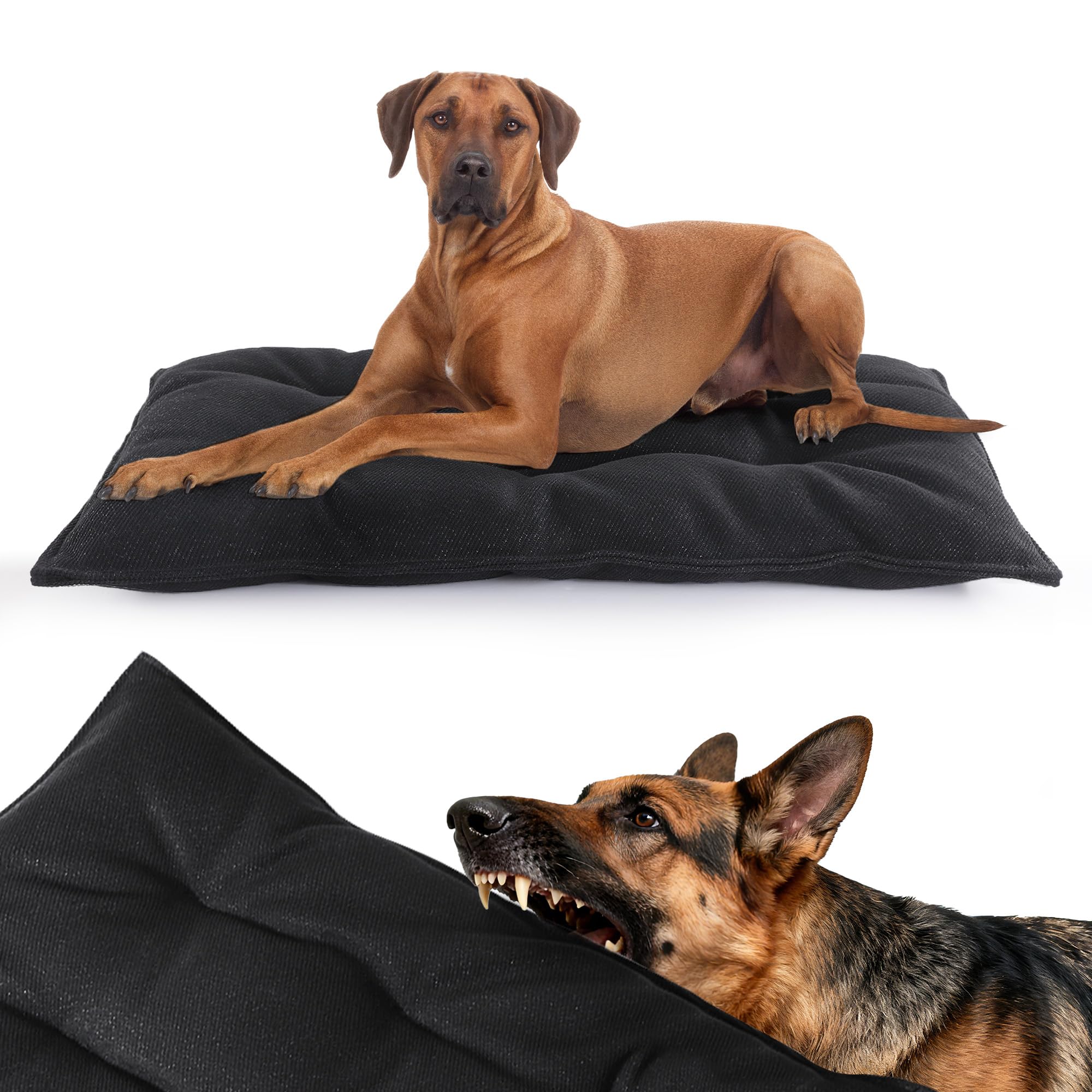 Cama Mabozoo indestructible para perros, ideal para mordedores agresivos.
