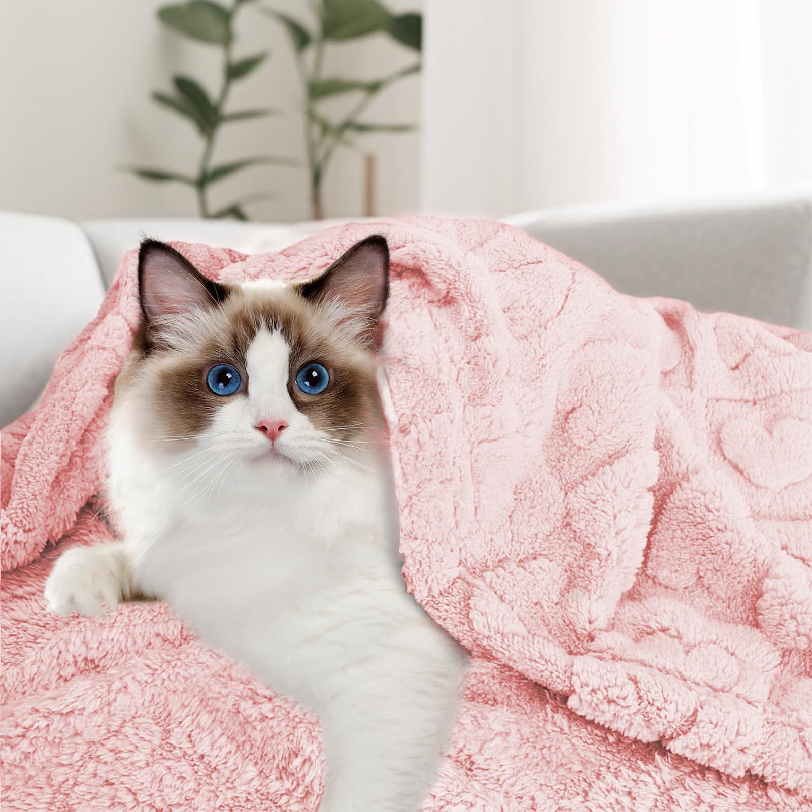 MACEVIA manta rosa claro para mascotas, protege muebles de pelos.