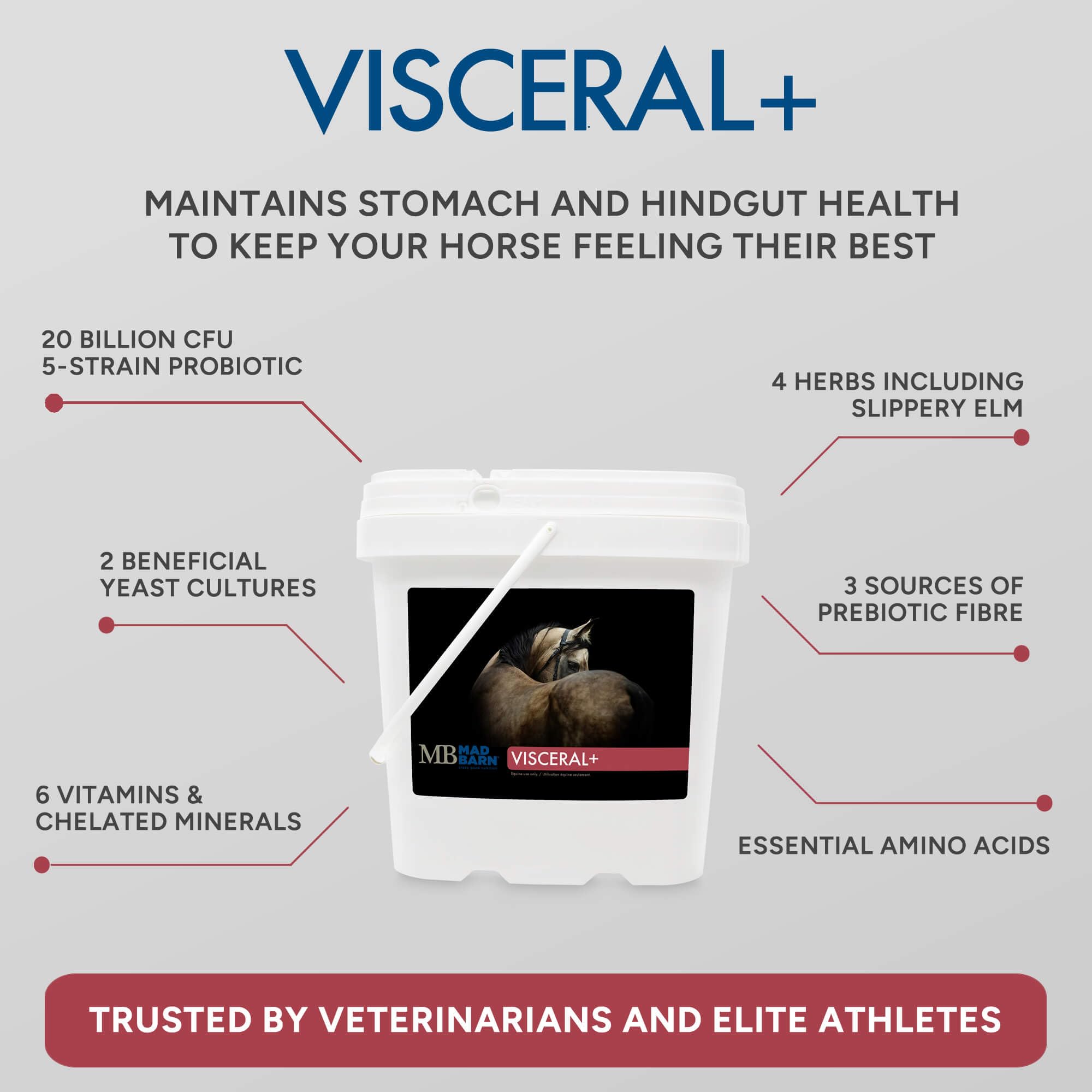 Mad Barn Visceral+ envase práctico para caballos en entrenamiento