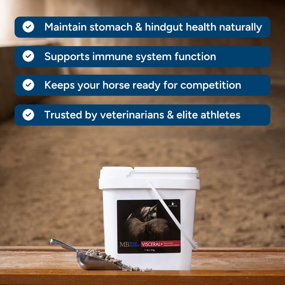 Mad Barn Visceral+ sistema digestivo posterior apoyo para el hindgut