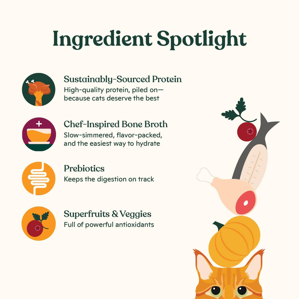 Made by Nacho prebióticos para digestión saludable en gatos.