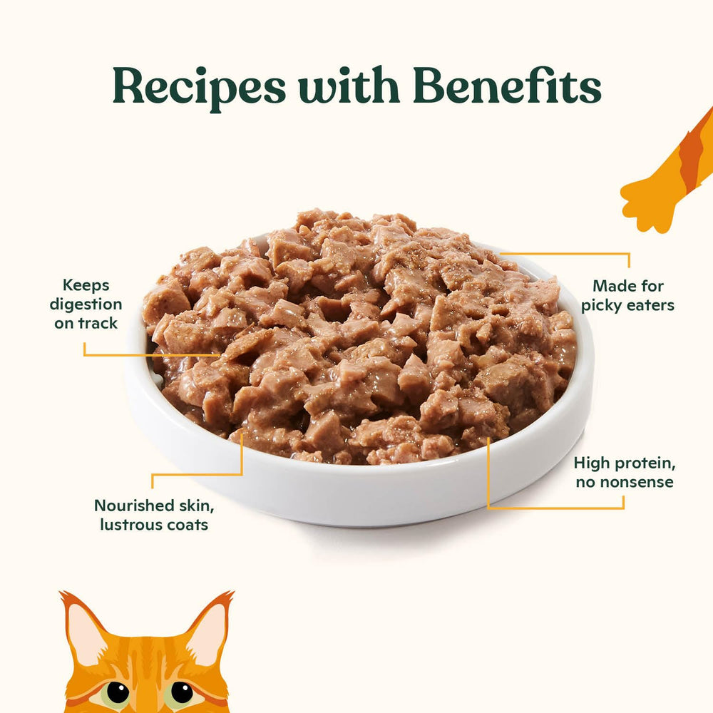 Made by Nacho proteína alta sin granos para gatos activos