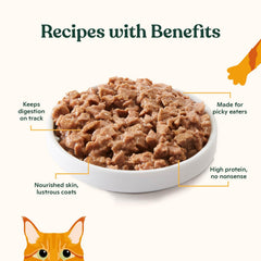 Made by Nacho proteína alta sin granos para gatos activos