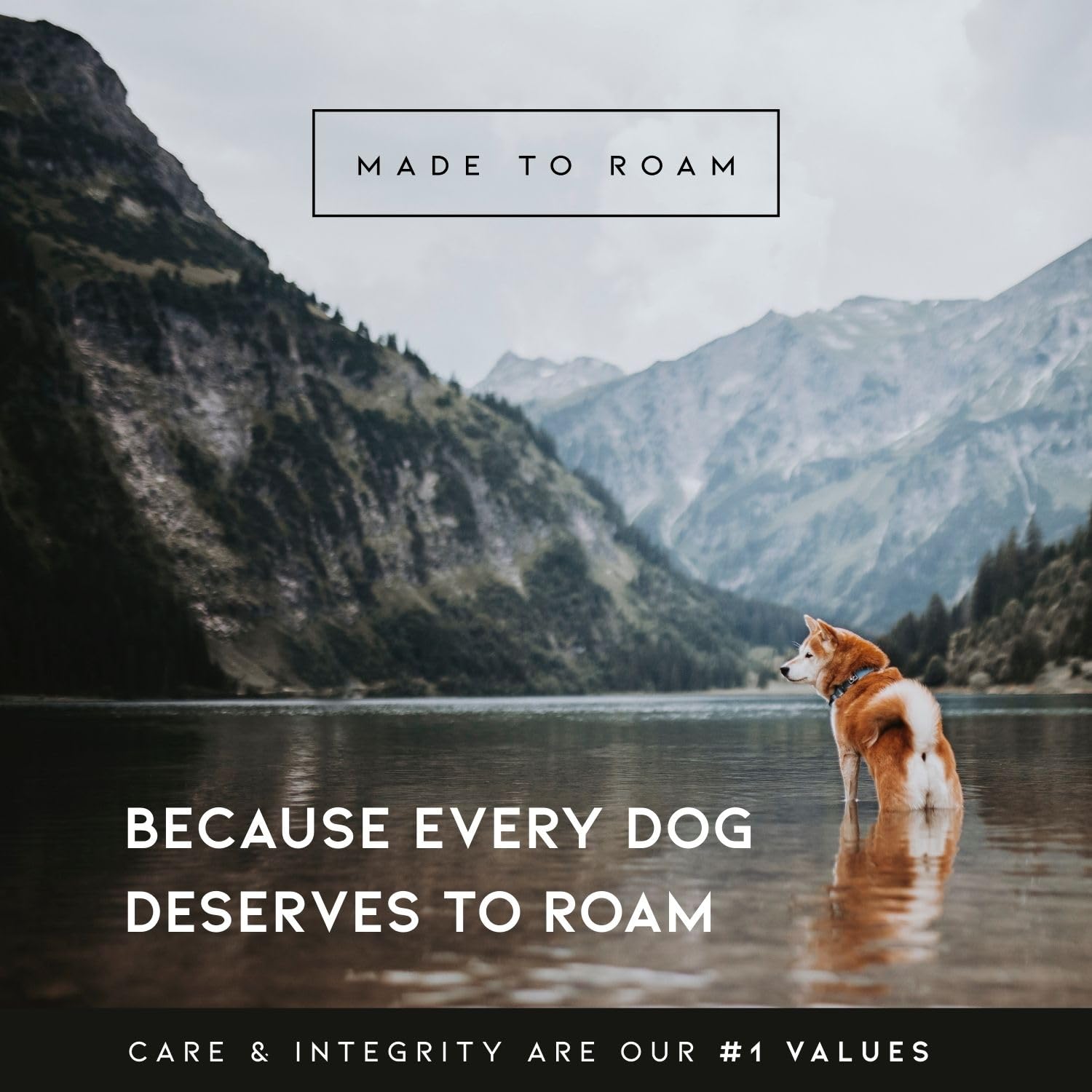 MADE TO ROAM Explorer Leash: fácil de limpiar para climas húmedos y senderos.