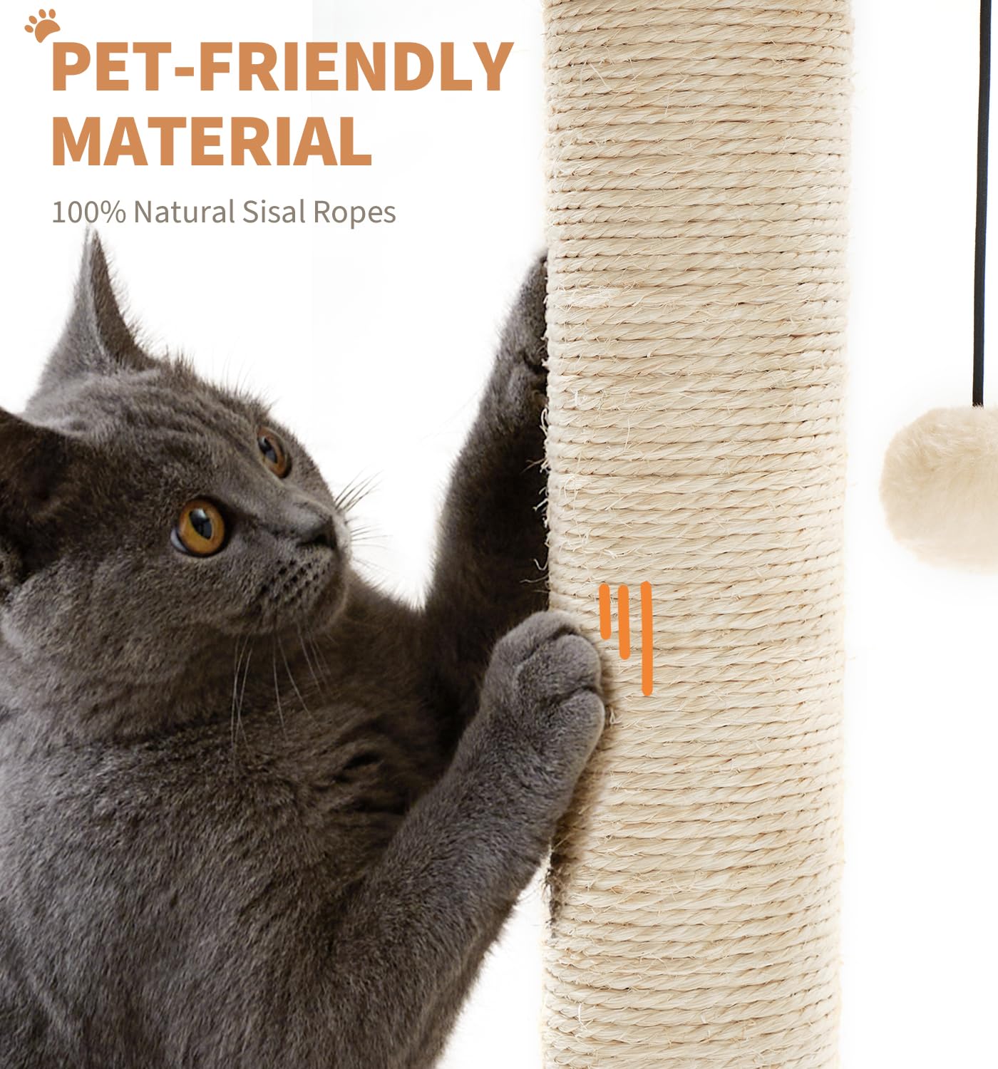 MADE4PETS diseño-madera-robusta embellece el espacio para gatos