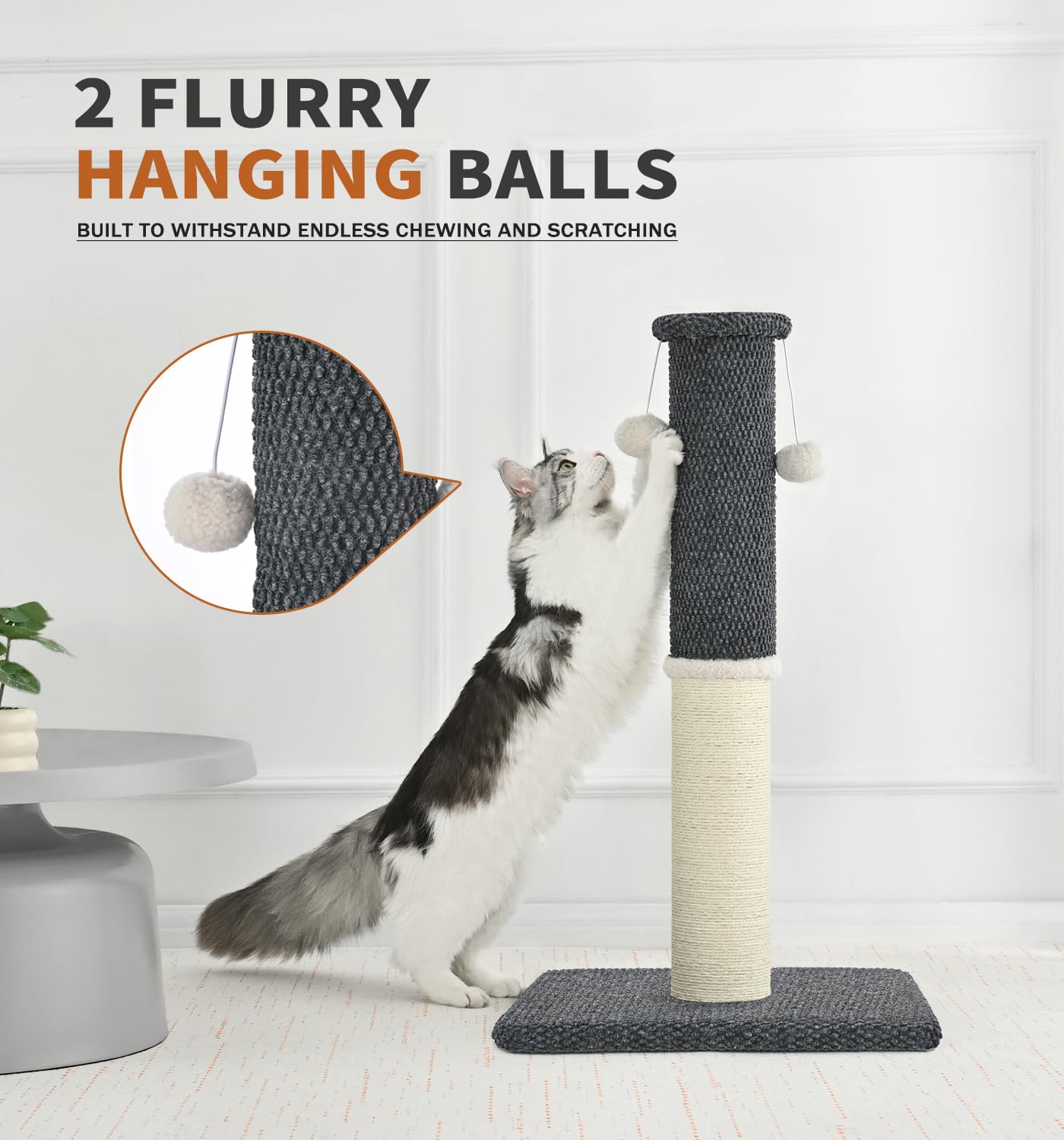 Made4Pets diseño compacto se integra sin esfuerzo en la decoración.