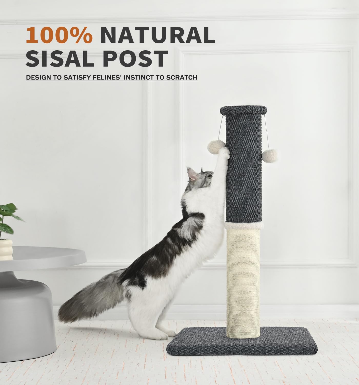 Made4Pets superficie rascar dos en uno para variedad de texturas.