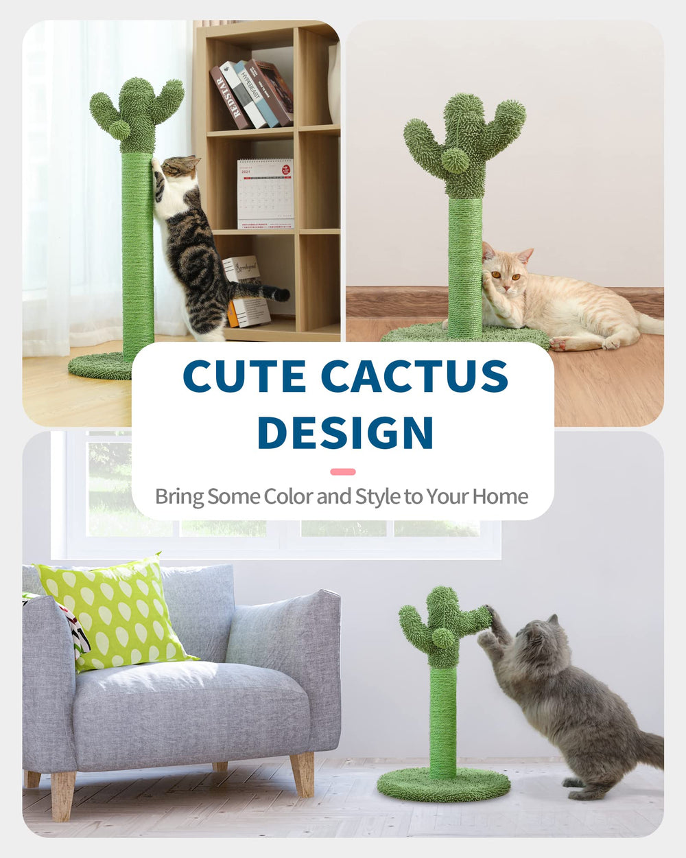 Made4Pets apto para gatitos y gatos adultos en casa