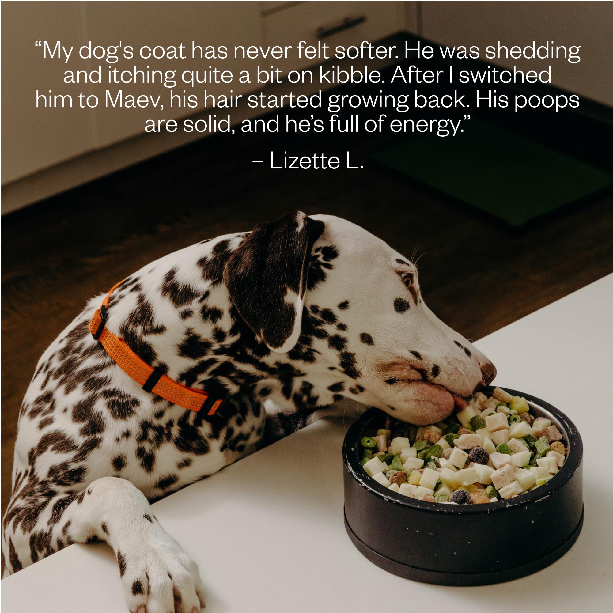 Maev: alta proteína con pollo real para perros activos y sanos
