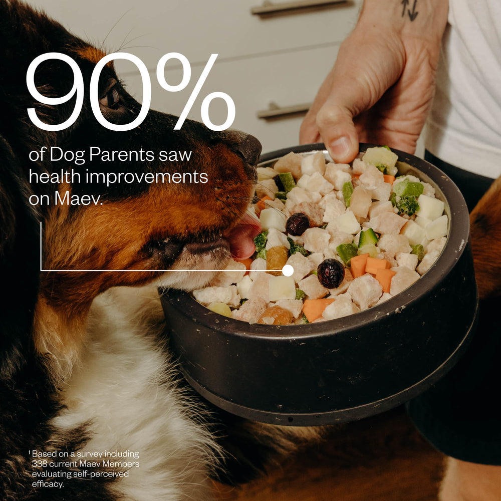 Maev: comida congelada para perros, fresca y nutritiva al servir