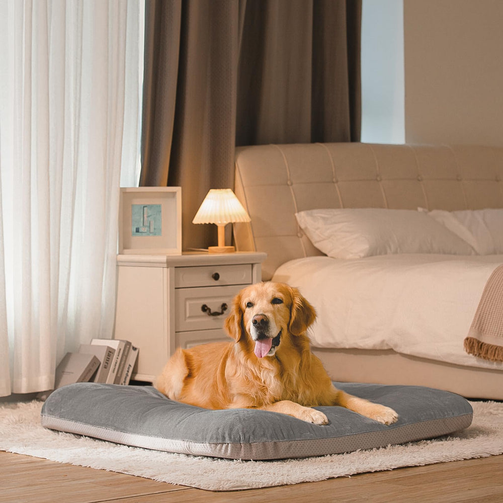 Magic Dog cama grande ideal para dormir de forma cómoda y segura.