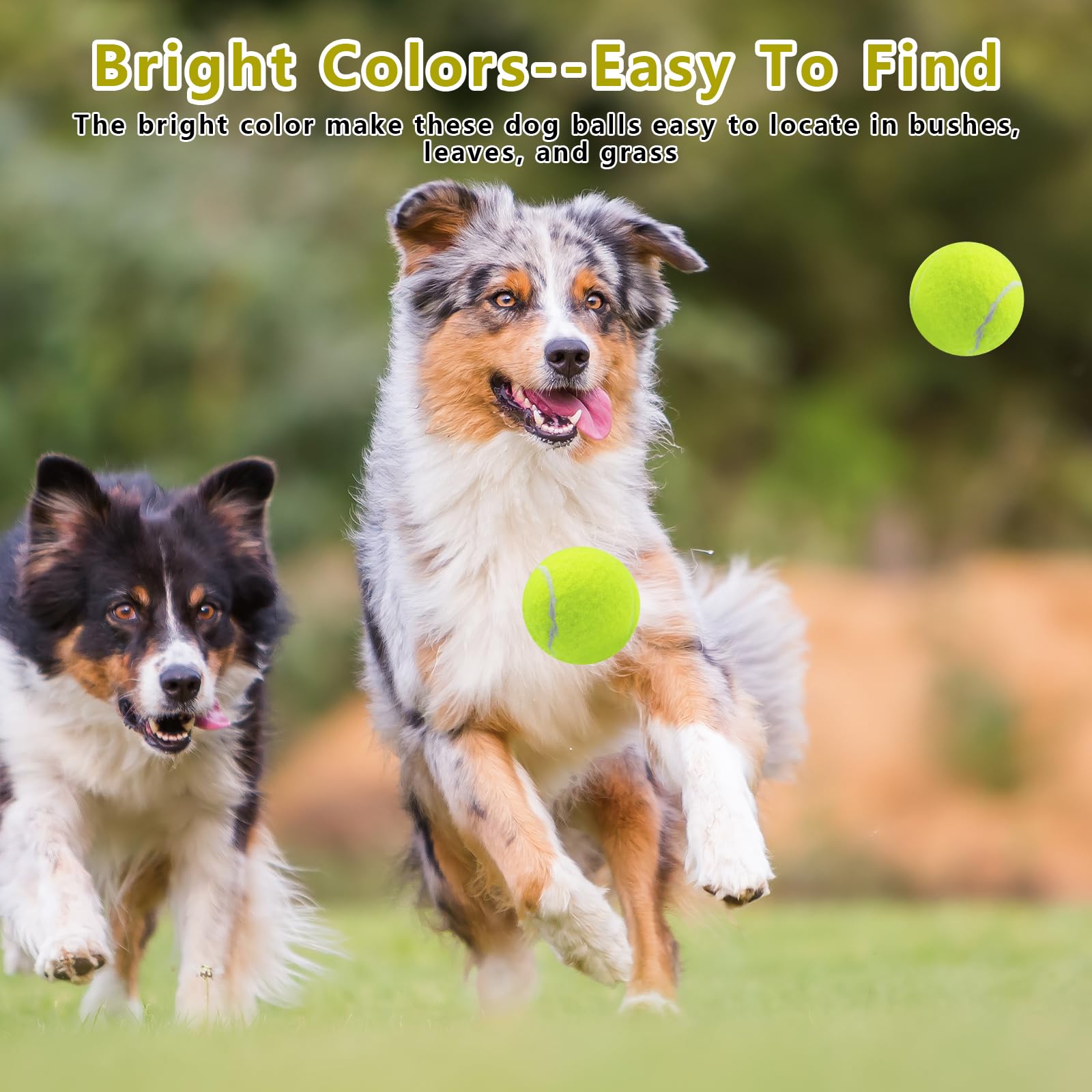 Magicorange conjunto de 20 pelotas de tenis para perro, ideal para entrenamientos.