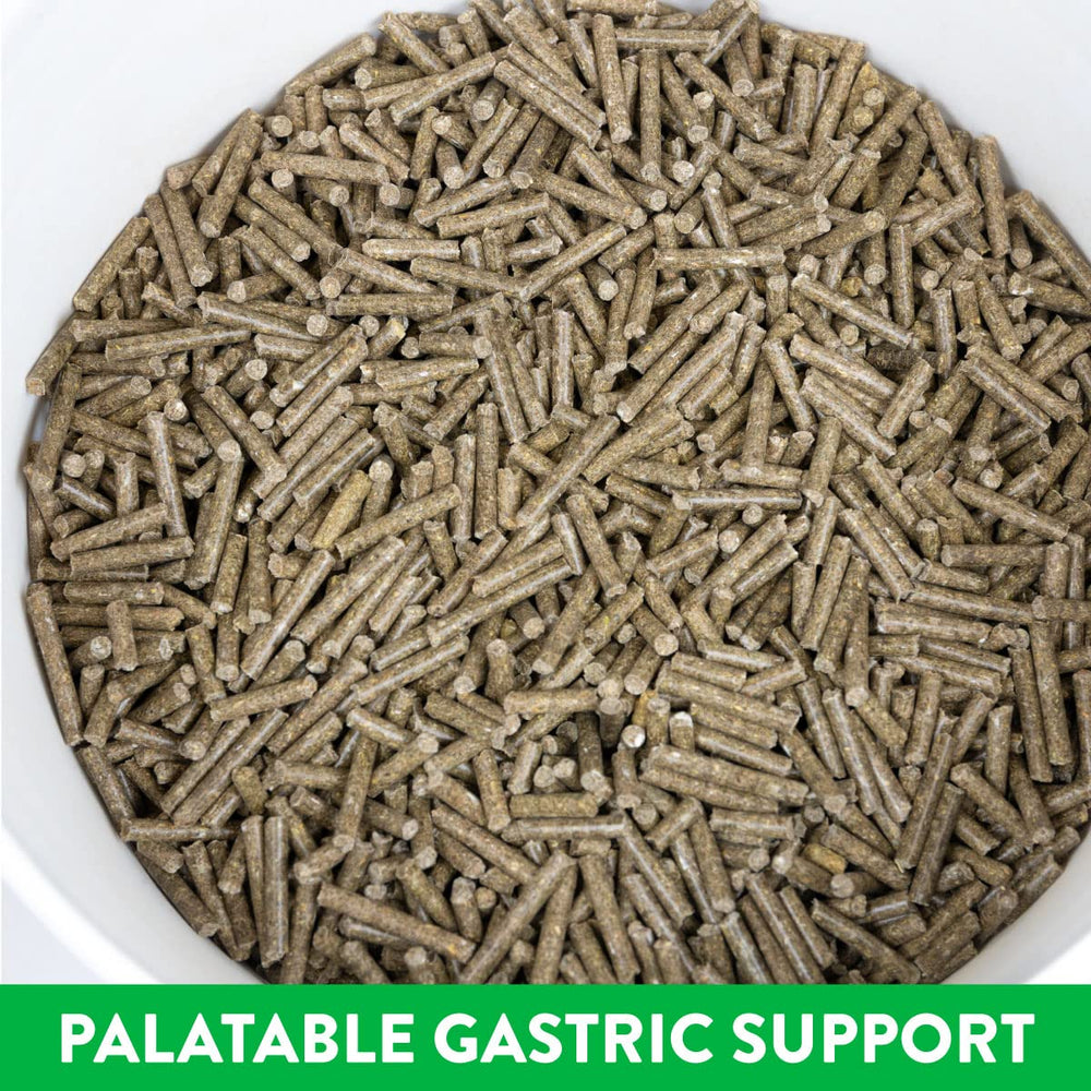 Magnagard Pellet en balde, suministro mensual para el bienestar digestivo