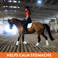 Magnagard Plus minerales esenciales: calcio y magnesio para soporte nutricional diario del caballo.