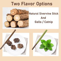 Maiguangta bastones Silvervine recubiertos con fruto de Silvervine, sabor variado para interés.