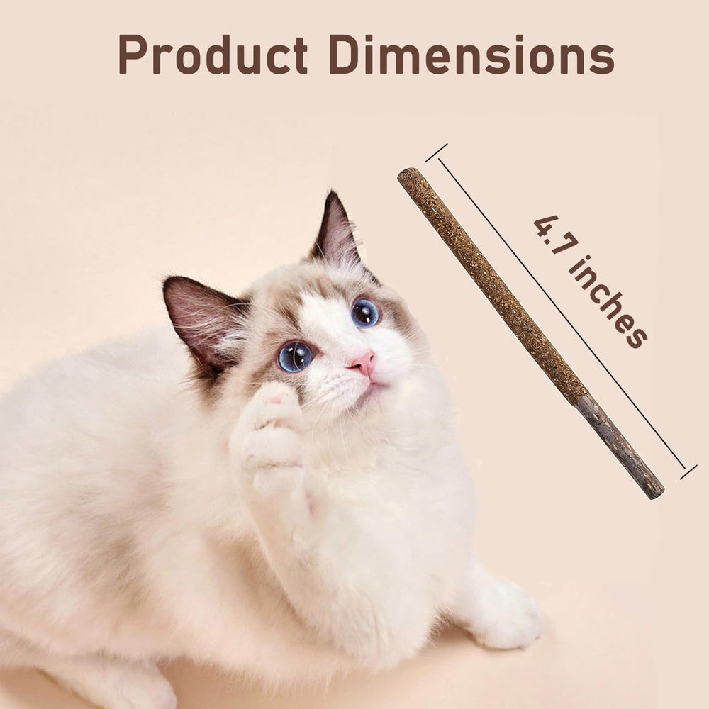 Juguete místico para juego y limpieza suave de dientes de gatos.