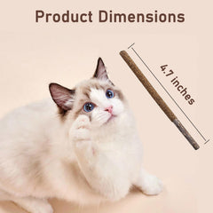 Juguete místico para juego y limpieza suave de dientes de gatos.