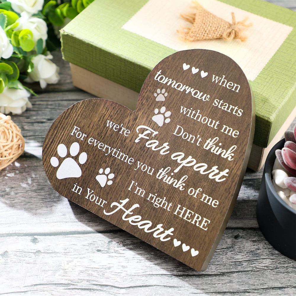 Regalo de consuelo para mascotas, un gesto considerado.