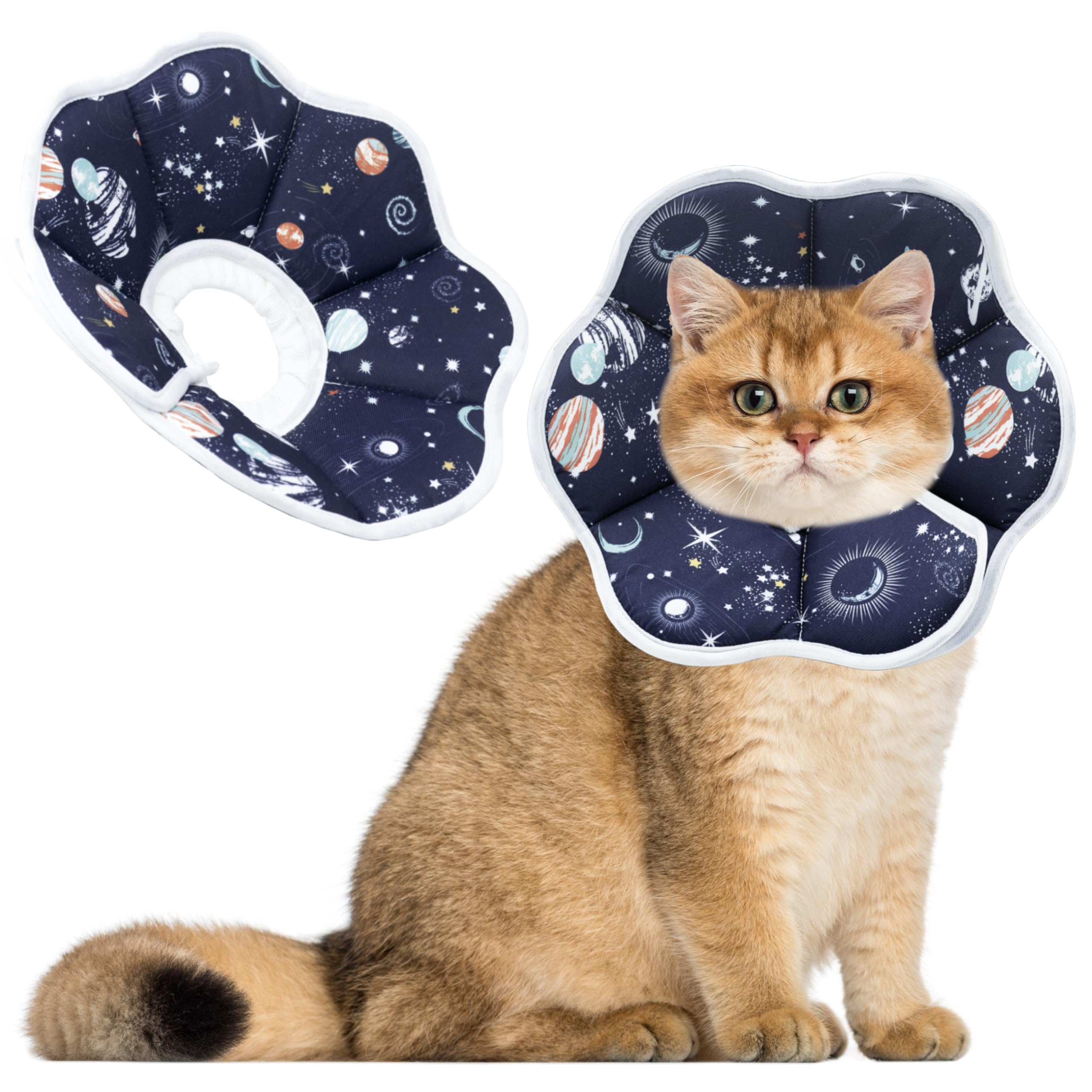 Collar Maiiu suave para gatos, enfoque en comodidad y protección de heridas.