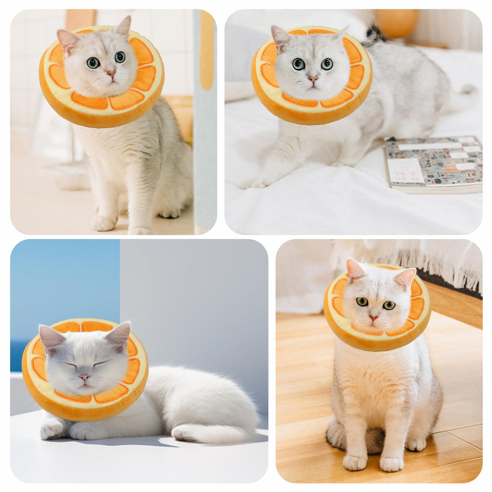 Collar Maiiu suave para gatos, uso diario seguro, evita lamidos innecesarios.