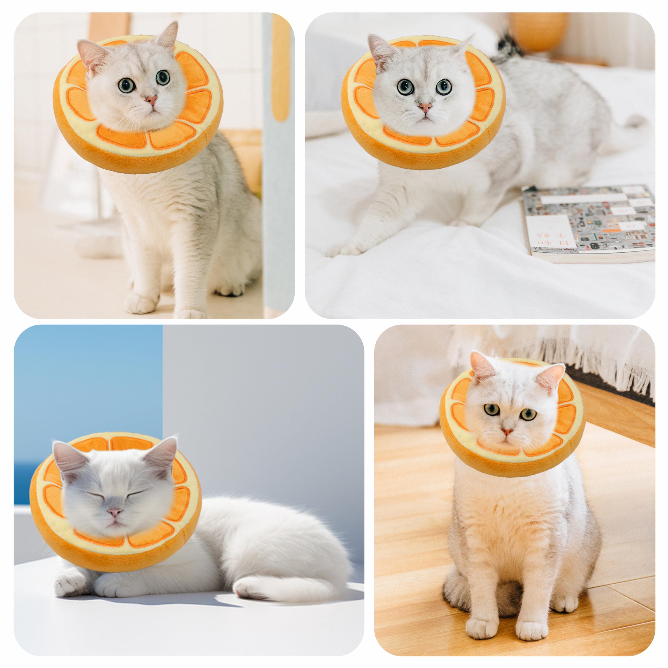Aplicación diaria sin interferir en la vida del gato.