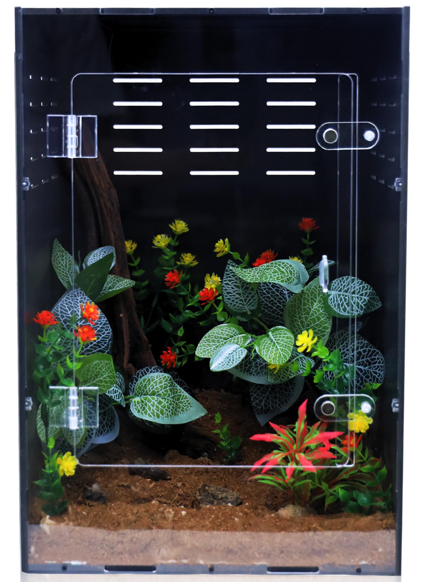 maiyuolg terrario 12x12x18 frente: observación clara de reptiles