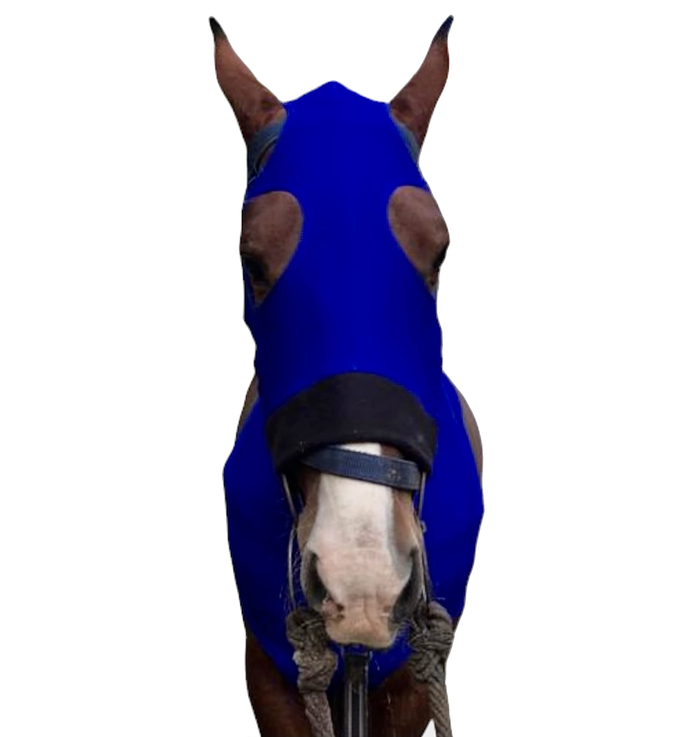 Capucha Majestic Ally para caballo, uso cómodo bajo manta.