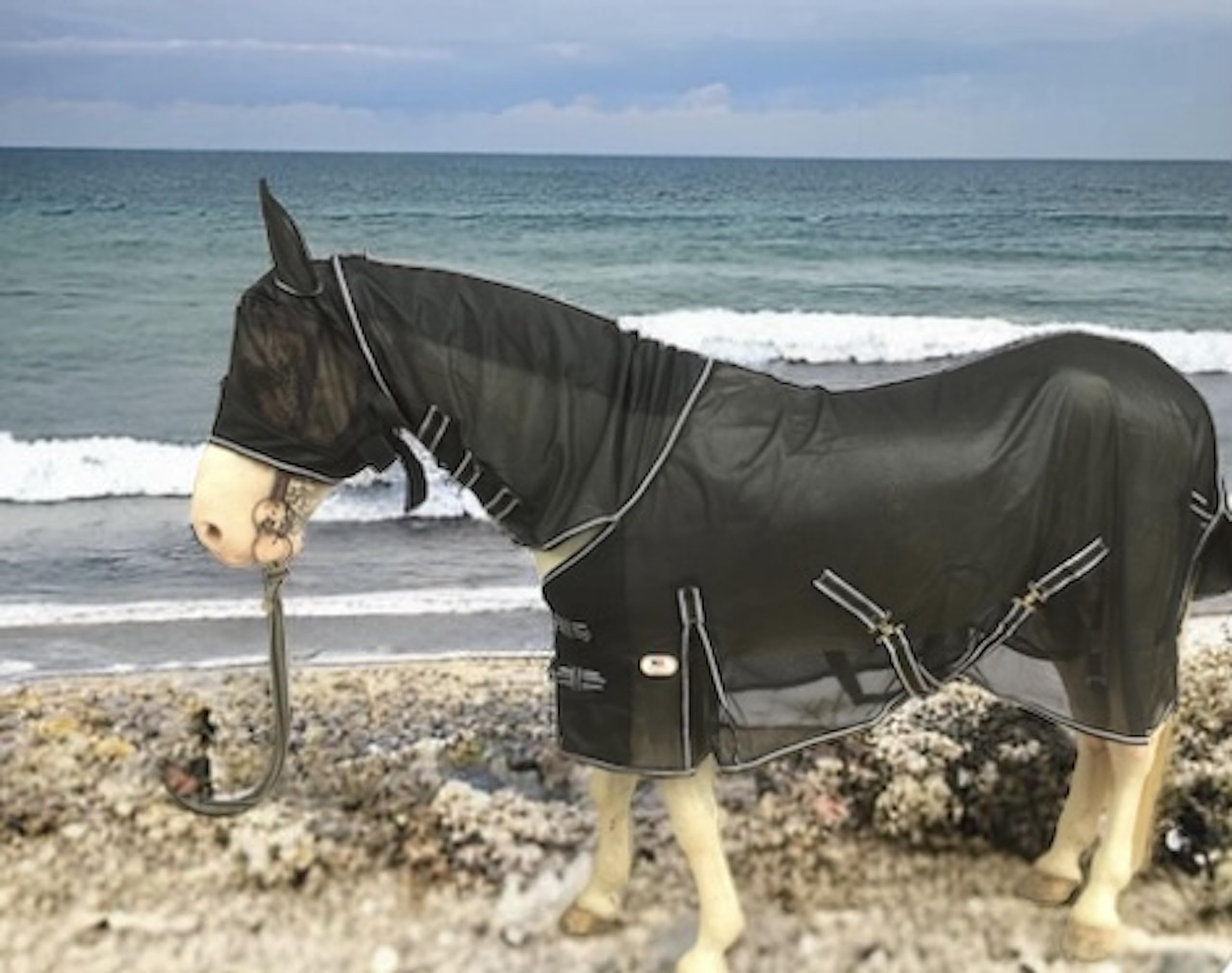 Majestic Ally Horse Fly Sheet máscara anti mosquitos para ojos y orejas