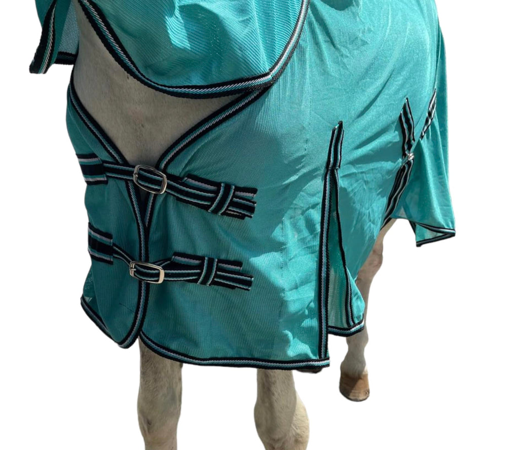 Variedad de tallas y colores Majestic Ally para caballos de distintas conformaciones