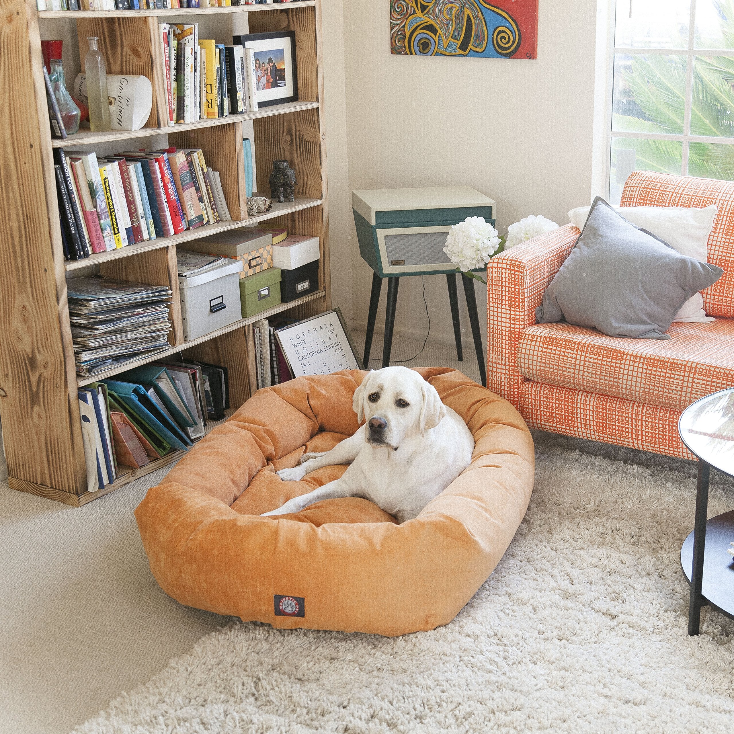 Majestic Pet diseño redondo: guía al perro para sentirse seguro y protegido.