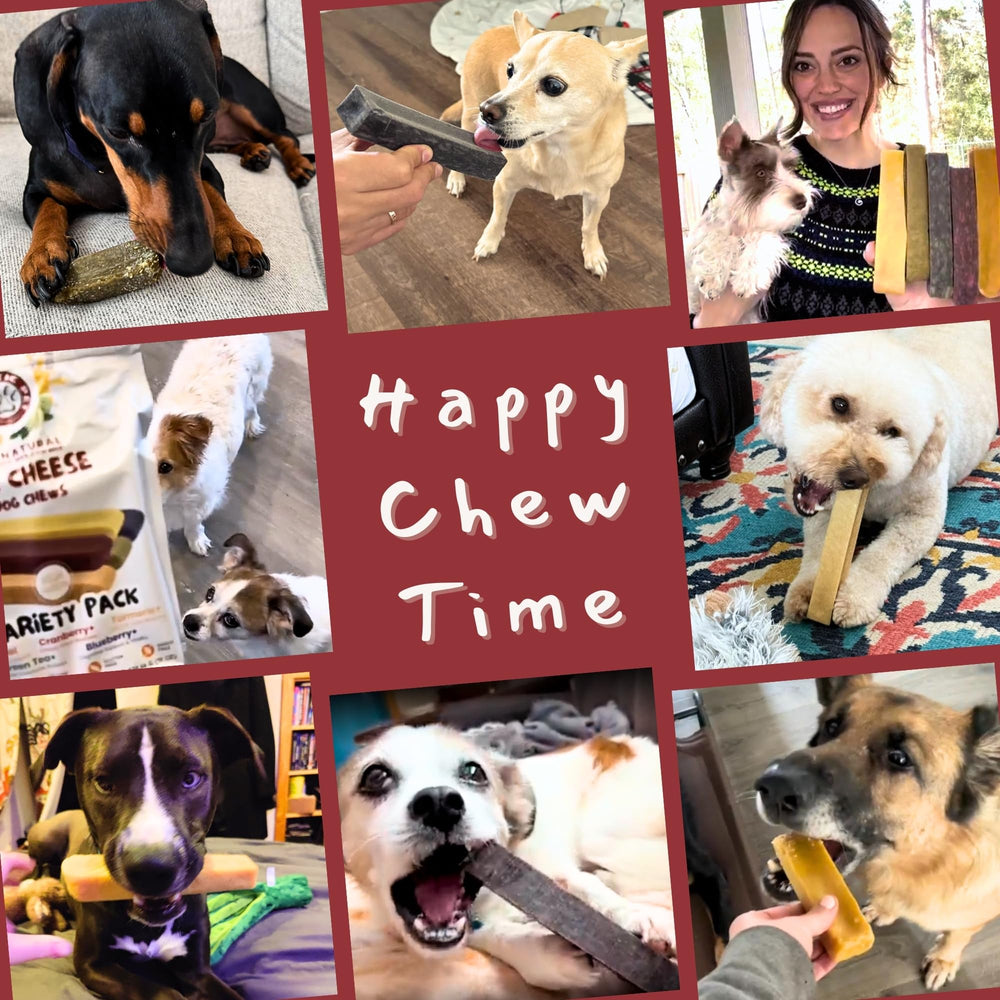Majestic Pet Himalayan Chews: aroma natural que mejora el disfrute diario del perro.
