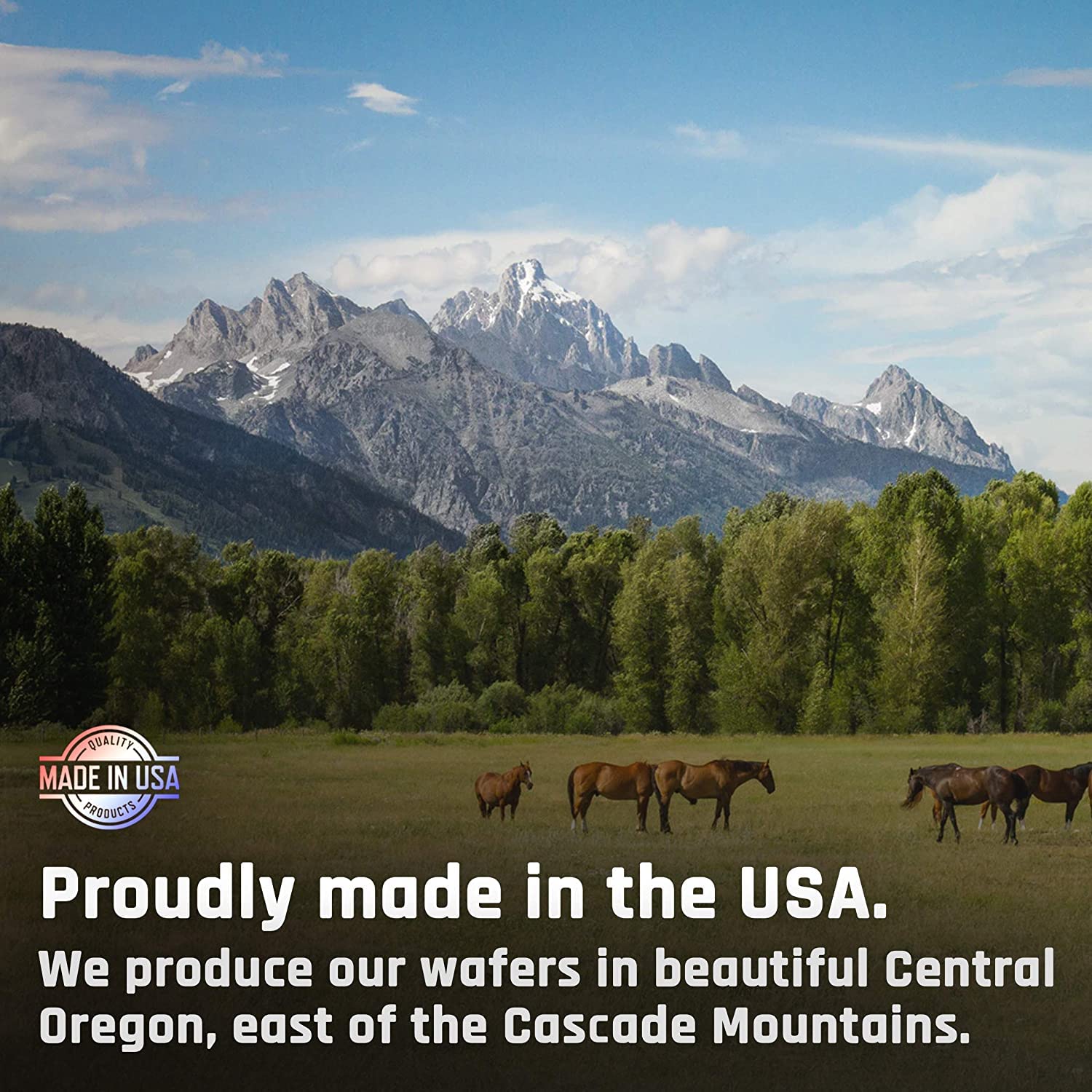 Majesty's galletas de biotina: brillo en el pelaje y aspecto saludable del caballo.
