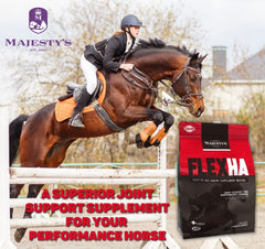 Pastillas Majesty's Flex HA Wafers en primer plano, sabor atractivo.