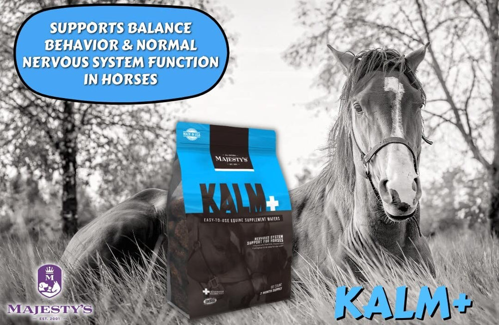 Majesty's Kalm Wafers: apoyo al sistema nervioso de los caballos