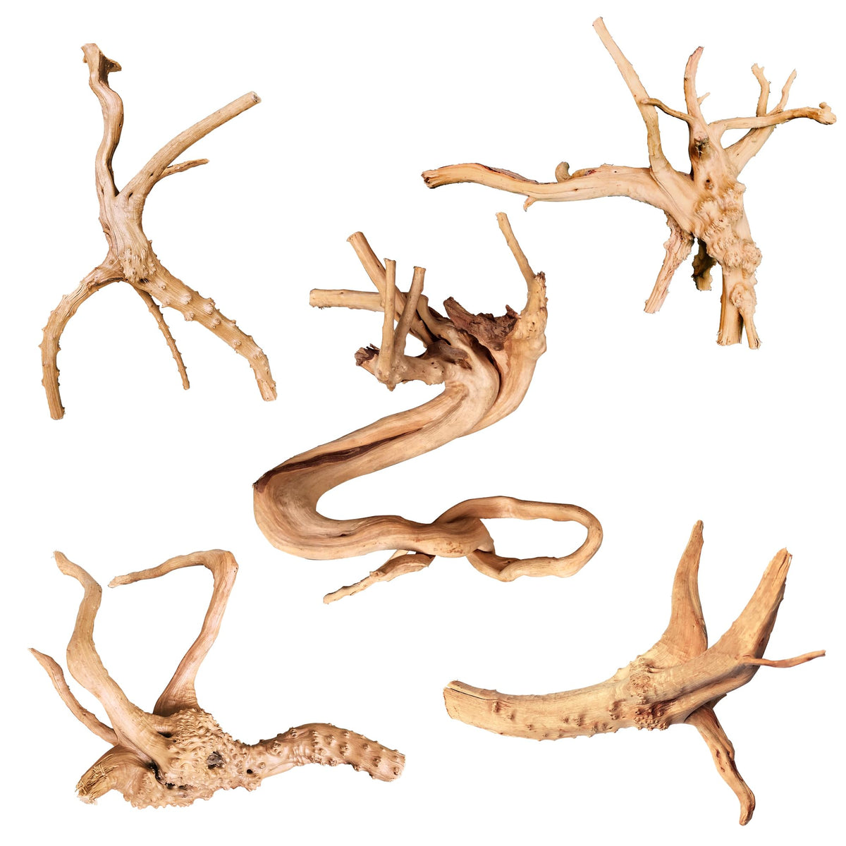 majoywoo madera araña natural, ramas 4-8 pulgadas para acuario