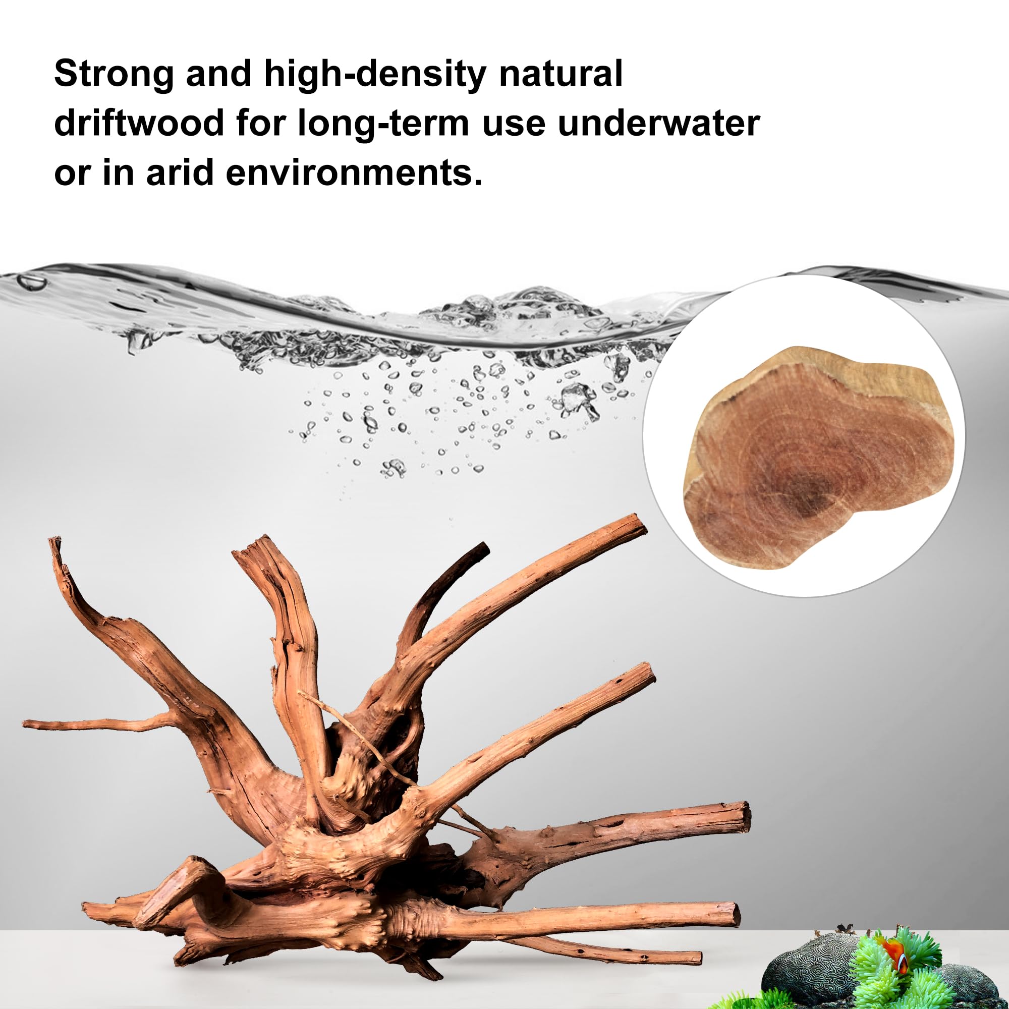 majoywoo madera araña para terrario, decorativa y duradera