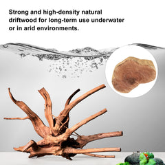 majoywoo madera araña para terrario, decorativa y duradera