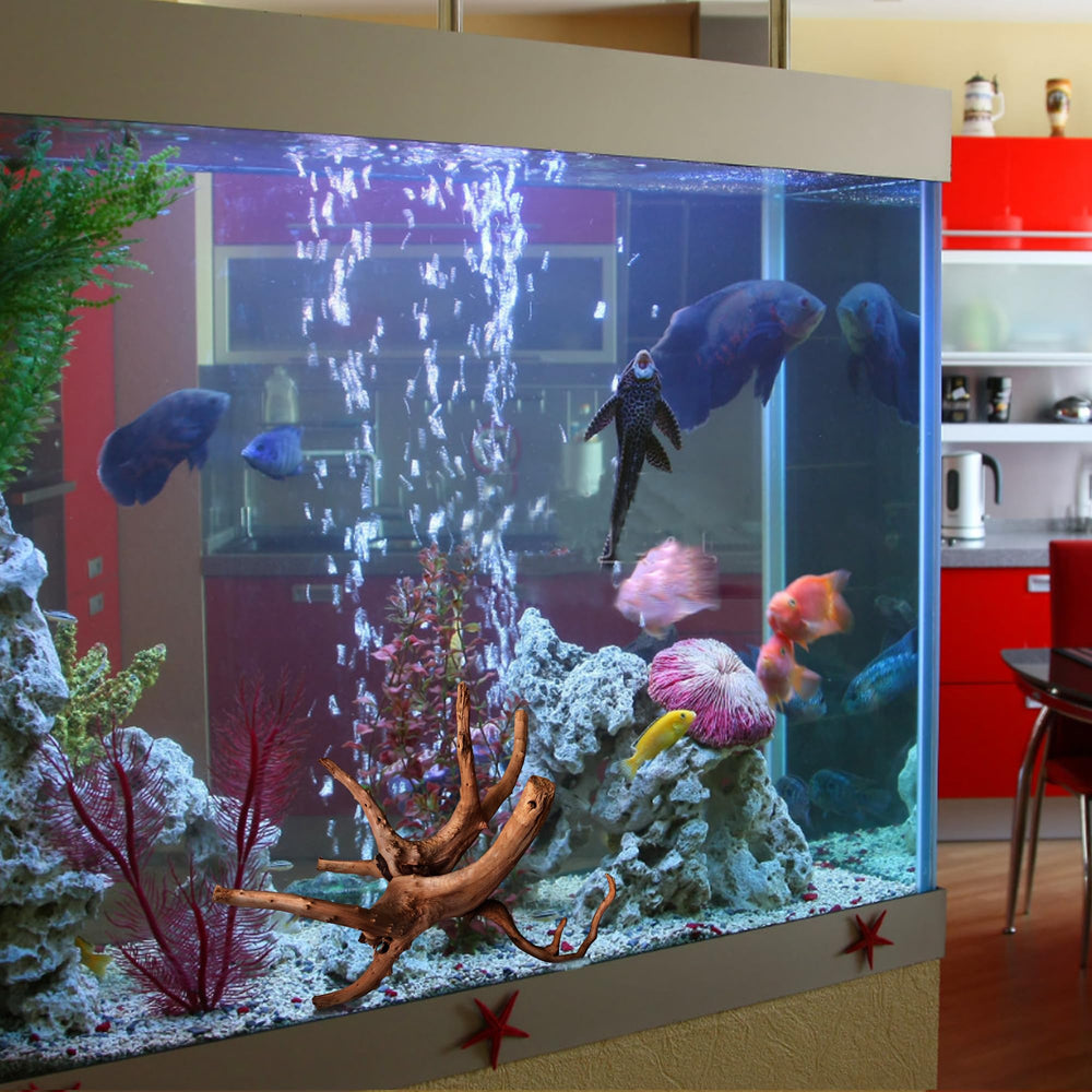 majoywoo ramas naturales para acuario, paisaje realista