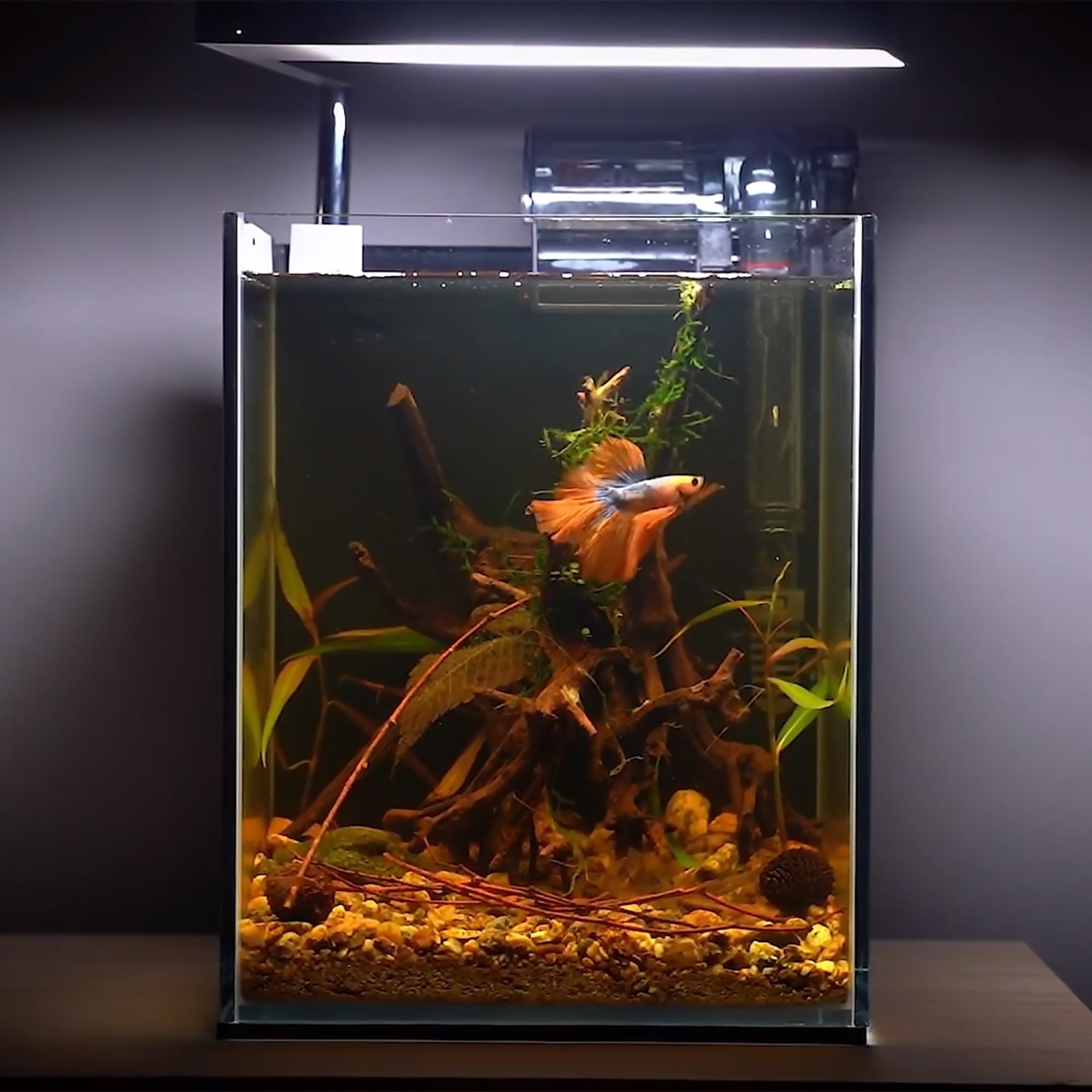 majoywoo ramas 4-8 pulgadas para acuarismo, decoración versátil