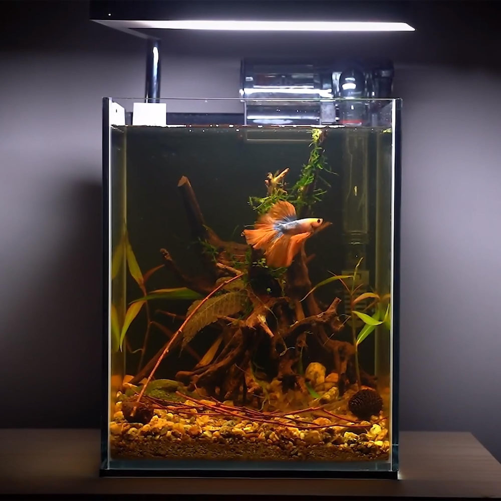 majoywoo ramas 4-8 pulgadas para acuarismo, decoración versátil