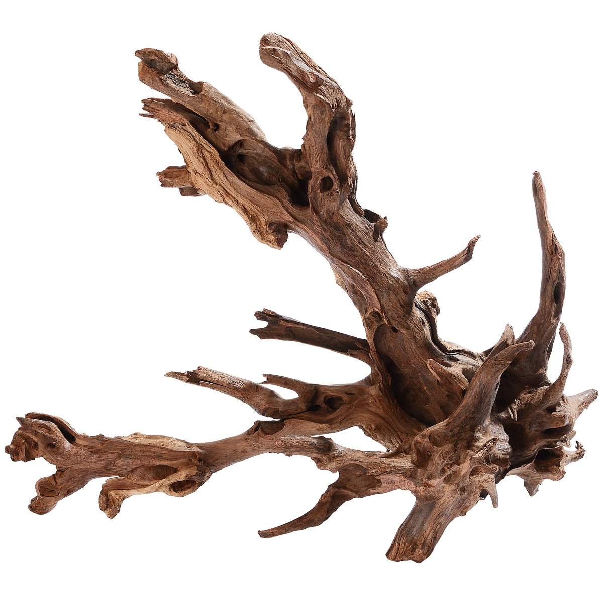 madera flotada majoywoo, pieza grande para pecera, añade belleza natural y estructura