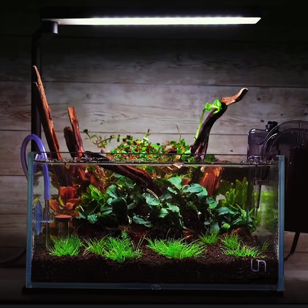 majoywoo madera flotante para terrario, ideal para construir árboles de musgo.