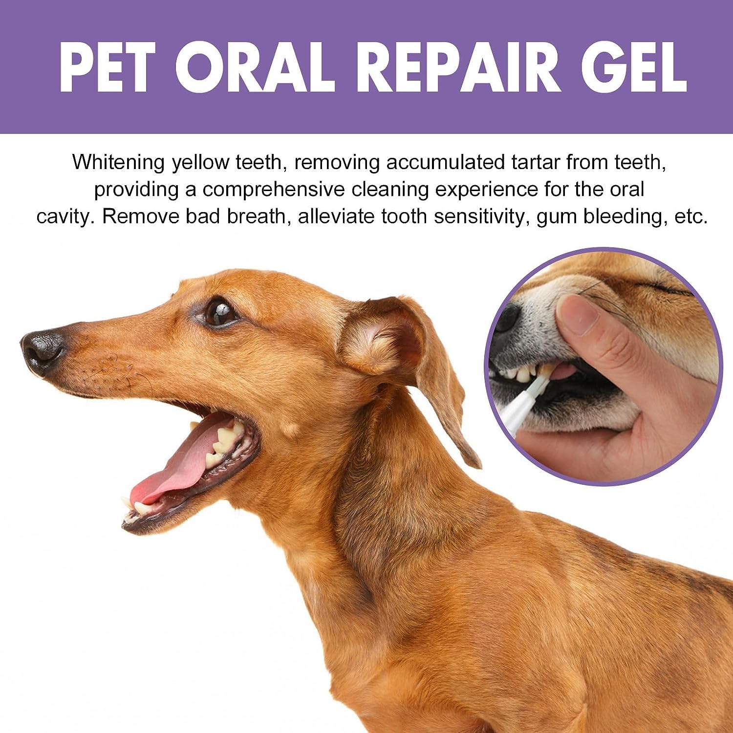 MAKABAKA gel cuidado dientes perros, ayuda a mantener boca sana entre limpiezas.