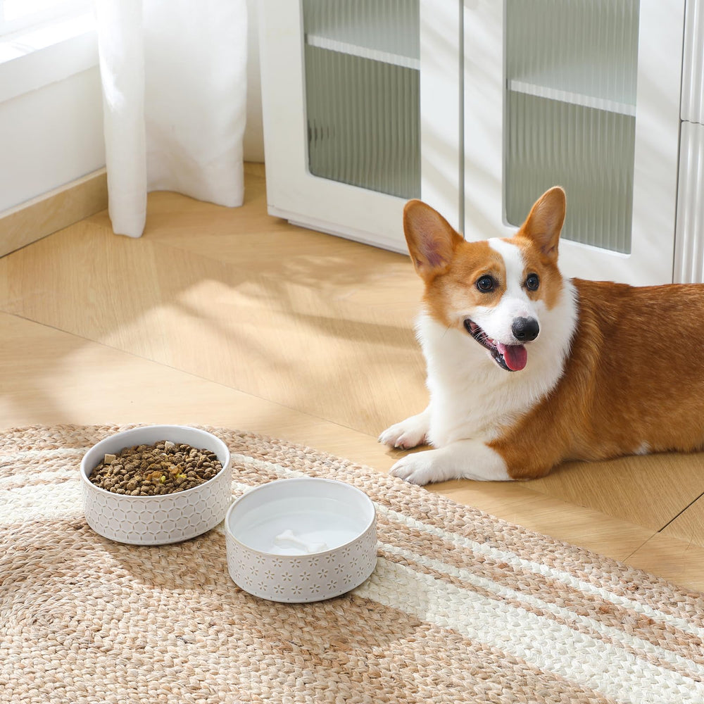 MALACASA tamaño medio, ideal para perros de tamaño medio.