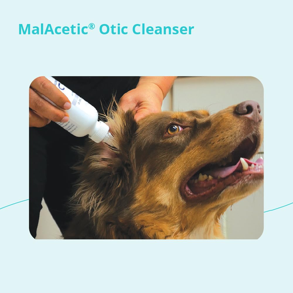 MalAcetic Otic Cleanser contiene ácido acético y ácido bórico para cuidado básico