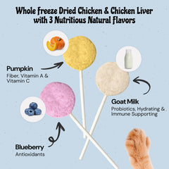 Piruletas MalsiPree con pollo y calabaza, nutritivas y sabrosas